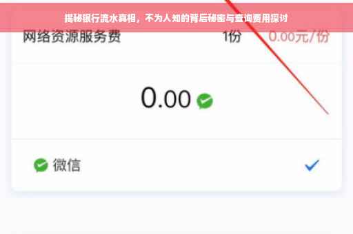揭秘银行流水真相，不为人知的背后秘密与查询费用探讨