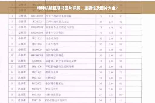 特种机械证明书图片详解，重要性及图片大全?