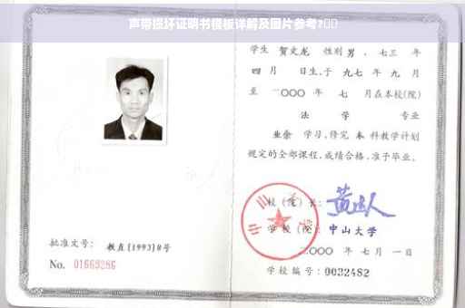 声带损坏证明书模板详解及图片参考?⚡️