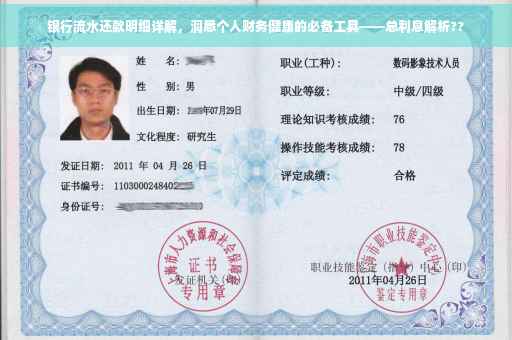 银行流水还款明细详解，洞悉个人财务健康的必备工具——总利息解析??