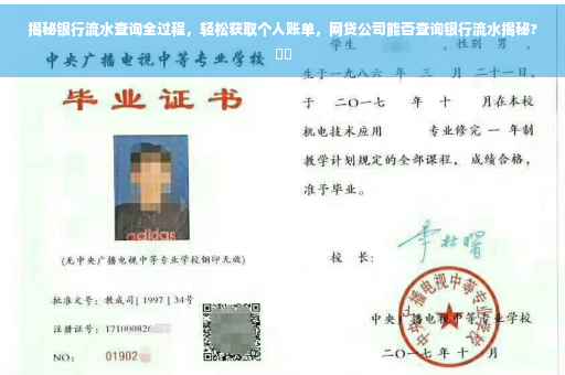 揭秘银行流水查询全过程，轻松获取个人账单，网贷公司能否查询银行流水揭秘?⚡️