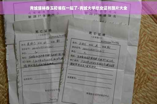 青城缘林香玉和谁在一起了-青城大学毕业证书图片大全