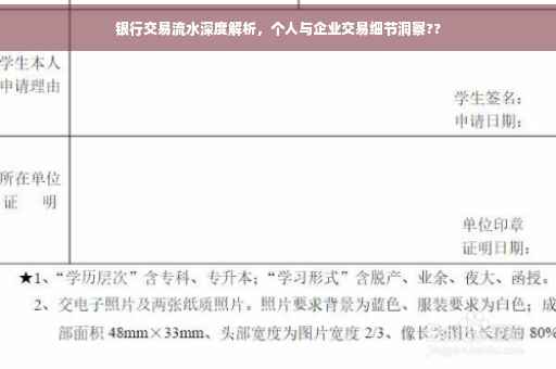 银行交易流水深度解析，个人与企业交易细节洞察??