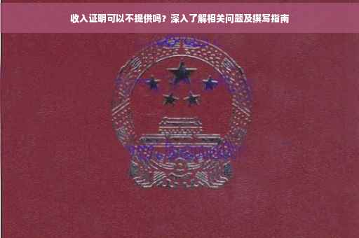 收入证明可以不提供吗？深入了解相关问题及撰写指南