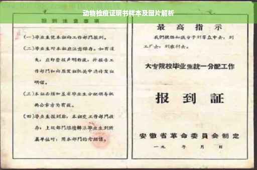 动物检疫证明书样本及图片解析