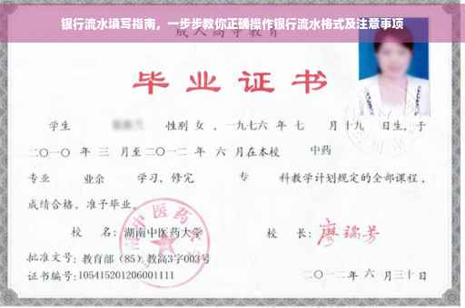 银行流水填写指南，一步步教你正确操作银行流水格式及注意事项