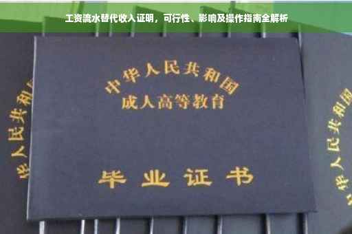 工资流水替代收入证明，可行性、影响及操作指南全解析