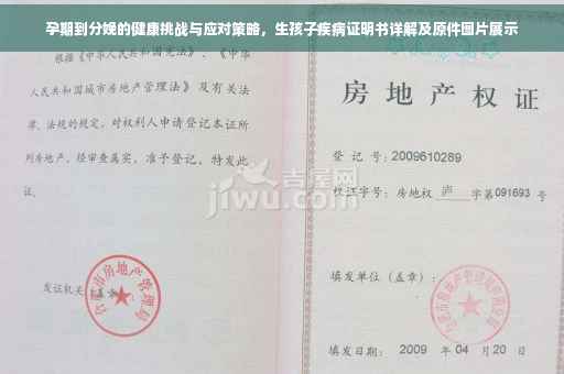 孕期到分娩的健康挑战与应对策略，生孩子疾病证明书详解及原件图片展示