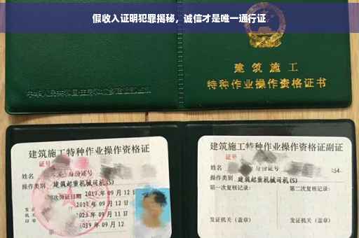 假收入证明犯罪揭秘，诚信才是唯一通行证
