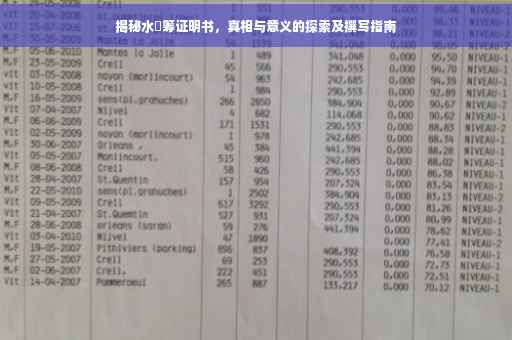 揭秘水滳筹证明书，真相与意义的探索及撰写指南