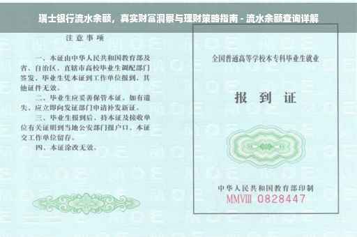 瑞士银行流水余额，真实财富洞察与理财策略指南 - 流水余额查询详解