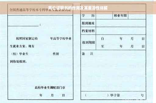 死亡证明书的作用及其重要性详解