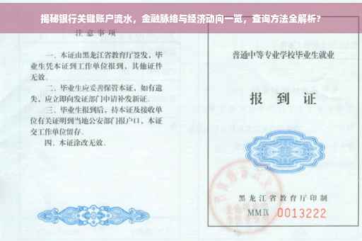 揭秘银行关键账户流水，金融脉络与经济动向一览，查询方法全解析?