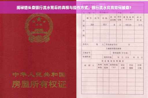 揭秘猎头查银行流水背后的真相与操作方式，银行流水究竟如何被查？
