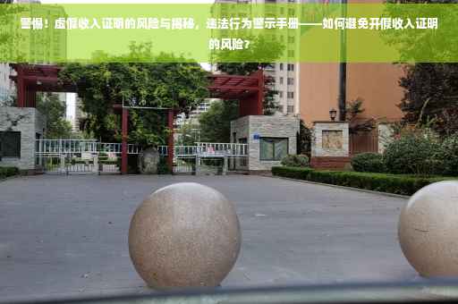 警惕！虚假收入证明的风险与揭秘，违法行为警示手册——如何避免开假收入证明的风险？