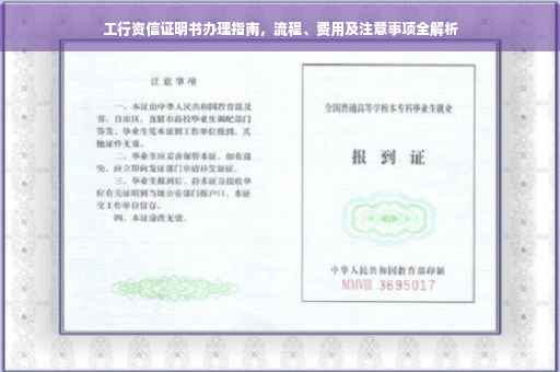 工行资信证明书办理指南，流程、费用及注意事项全解析