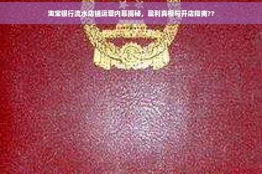 淘宝银行流水店铺运营内幕揭秘，盈利真相与开店指南??
