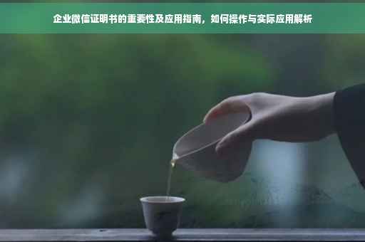 企业微信证明书的重要性及应用指南，如何操作与实际应用解析