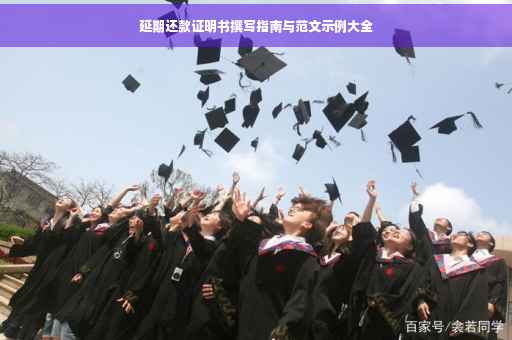 延期还款证明书撰写指南与范文示例大全