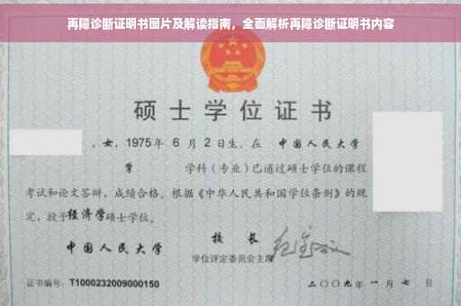 再障诊断证明书图片及解读指南，全面解析再障诊断证明书内容