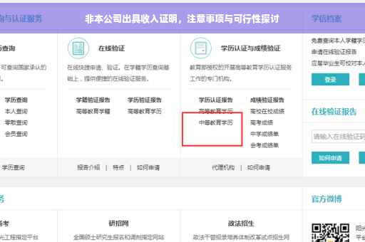 非本公司出具收入证明，注意事项与可行性探讨