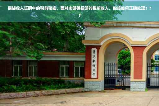 揭秘收入证明中的税前秘密，面对未明确标明的税前收入，你该如何正确处理？??