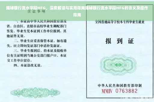 揭秘银行流水字段HFG，深度解读与实用指南揭秘银行流水字段HFG的含义及操作指南