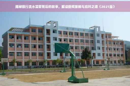 揭秘银行流水监管背后的故事，解读新规策略与应对之道（2021版）
