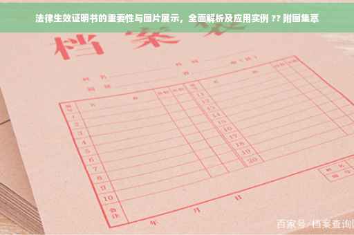 法律生效证明书的重要性与图片展示，全面解析及应用实例 ?? 附图集萃