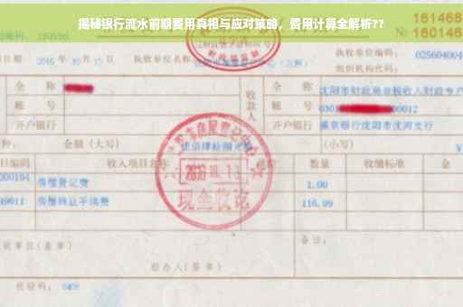 揭秘银行流水前期费用真相与应对策略，费用计算全解析??