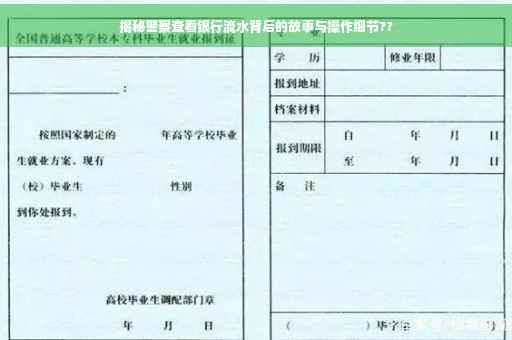 揭秘警察查看银行流水背后的故事与操作细节??