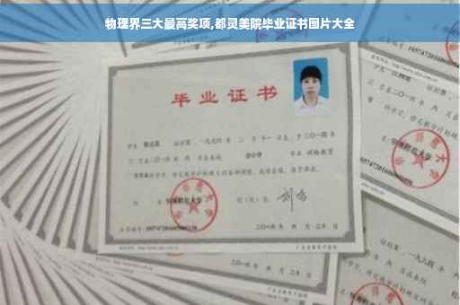 物理界三大最高奖项,都灵美院毕业证书图片大全