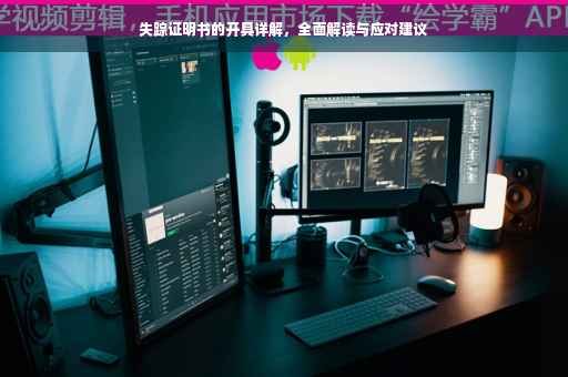 失踪证明书的开具详解，全面解读与应对建议
