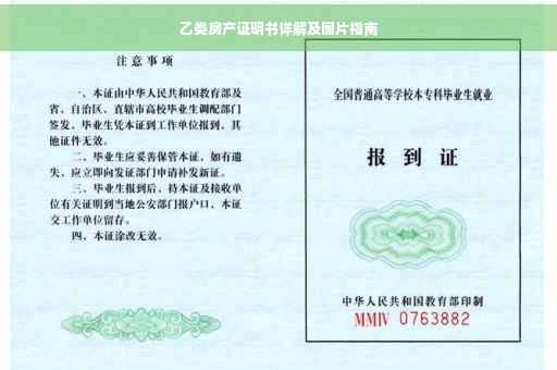 乙类房产证明书详解及图片指南