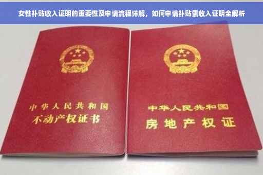 女性补贴收入证明的重要性及申请流程详解，如何申请补贴需收入证明全解析