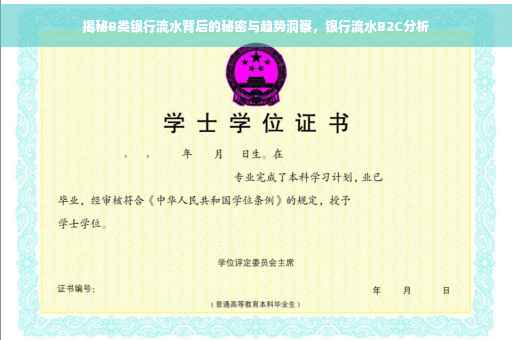 揭秘B类银行流水背后的秘密与趋势洞察，银行流水B2C分析