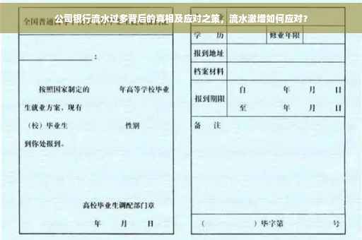 公司银行流水过多背后的真相及应对之策，流水激增如何应对？