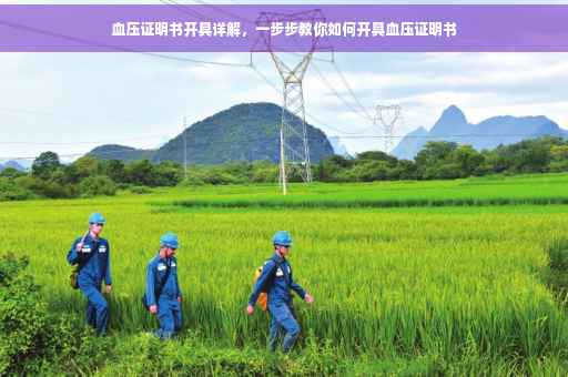血压证明书开具详解，一步步教你如何开具血压证明书