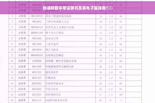 快速获取年审证明书及其电子版指南?⚡️