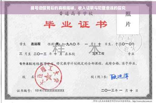 摇号造假背后的真相揭秘，收入证明与犯罪牵连的探究