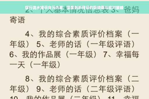 银行流水揭示贪污内幕，深度剖析背后的阴暗面与应对策略