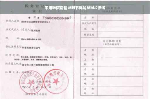耒阳医院病情证明书详解及图片参考
