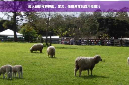 收入证明模板详解，定义、作用与实际应用指南??