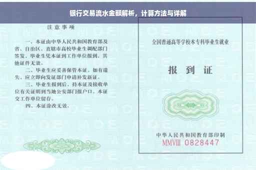 银行交易流水金额解析，计算方法与详解