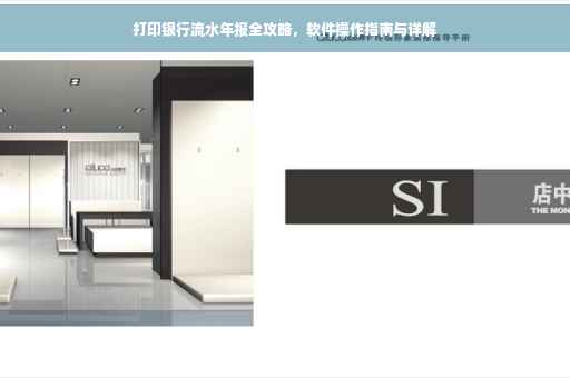 打印银行流水年报全攻略，软件操作指南与详解