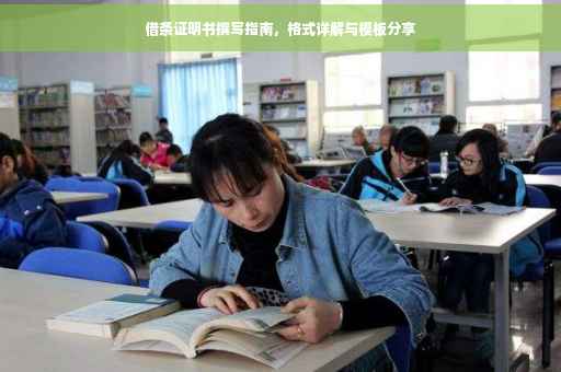 借条证明书撰写指南，格式详解与模板分享