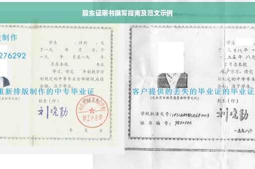 股东证明书撰写指南及范文示例