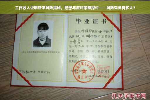 工作收入证明签字风险揭秘，隐患与应对策略探讨——风险究竟有多大？