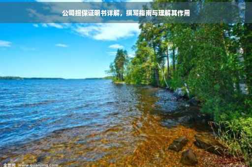 公司担保证明书详解，撰写指南与理解其作用