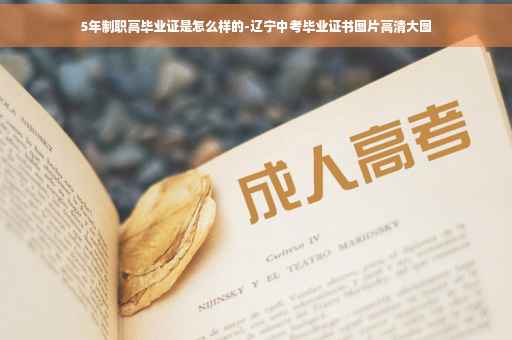 5年制职高毕业证是怎么样的-辽宁中考毕业证书图片高清大图